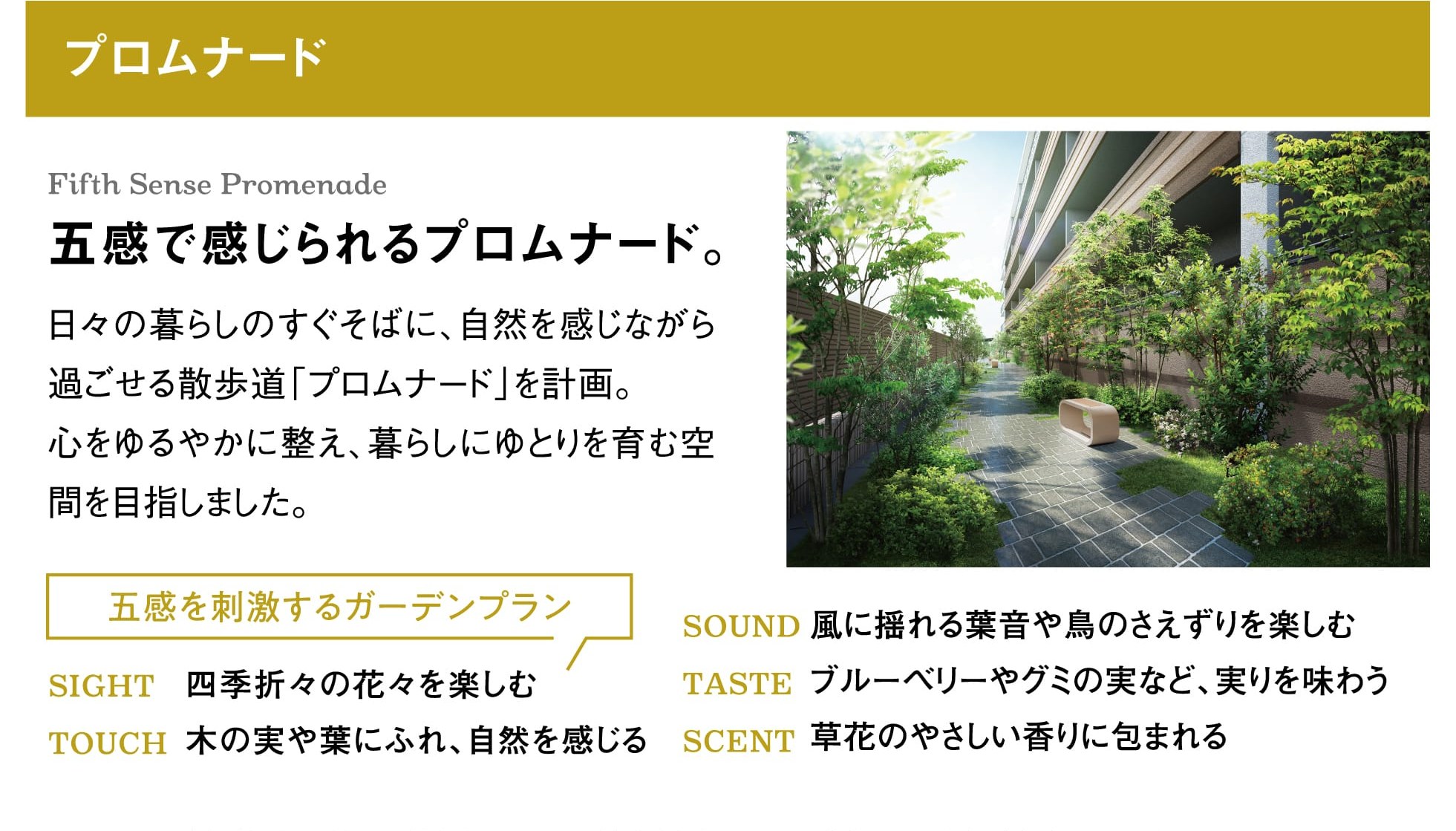 プロムナード Fifth Sense Promenade 五感で感じられるプロムナード。日々の暮らしのすぐそばに、自然を感じながら過ごせる散歩道「プロムナード」を計画。心をゆるやかに整え、暮らしにゆとりを育む空間を目指しました。 五感を刺激するガーデンプラン SIGHT 四季折々の花々を楽しむ TOUCH 木の実や葉にふれ、自然を感じる SOUND 風に揺れる葉音や鳥のさえずりを楽しむ TASTE ブルーベリーやグミの実など、実りを味わう SCENT 草花のやさしい香りに包まれる