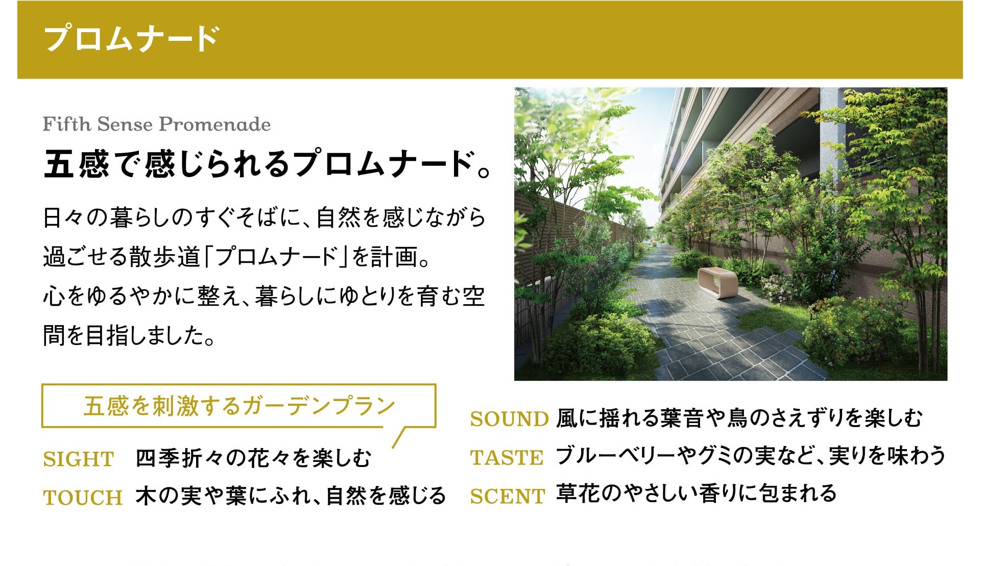 プロムナード Fifth Sense Promenade 五感で感じられるプロムナード。日々の暮らしのすぐそばに、自然を感じながら過ごせる散歩道「プロムナード」を計画。心をゆるやかに整え、暮らしにゆとりを育む空間を目指しました。 五感を刺激するガーデンプラン SIGHT 四季折々の花々を楽しむ TOUCH 木の実や葉にふれ、自然を感じる SOUND 風に揺れる葉音や鳥のさえずりを楽しむ TASTE ブルーベリーやグミの実など、実りを味わう SCENT 草花のやさしい香りに包まれる