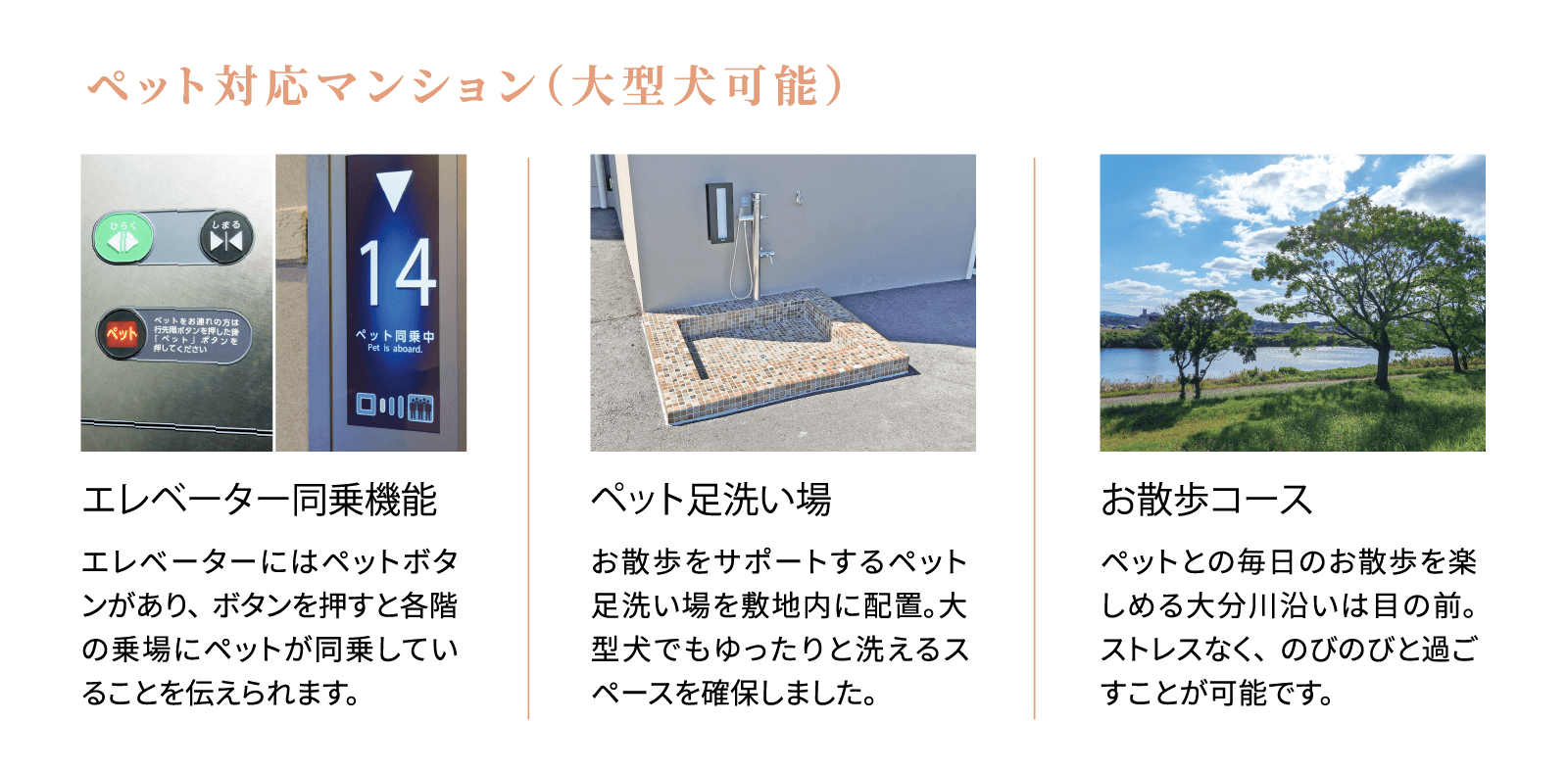 ペット対応マンション（大型犬可能）　エレベーター同乗機能：エレベーターにはペットボタンがあり、ボタンを押すと各階の乗場にペットが同乗していることを伝えられます。　ペット足洗い場：お散歩をサポートするペット足洗い場を敷地内に配置。大型犬でもゆったりと洗えるスペースを確保しました。　お散歩コース：ペットとの毎日のお散歩を楽しめる大分川沿いは目の前。ストレスなく、のびのびと過ごすことが可能です。