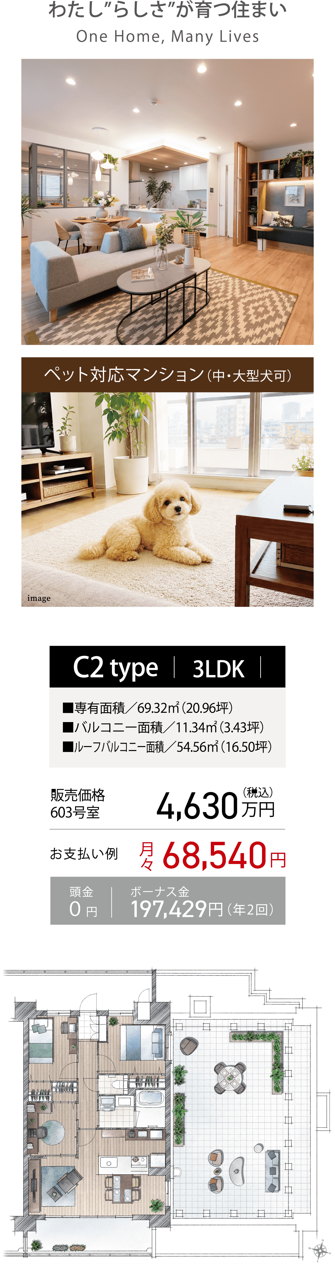 わたし”らしさ”が育つ住まい One Home, Many Lives、C2 type|3LDK、専有面積69.32㎡(20.96坪)・バルコニー面積11.34㎡(3.43坪)・ルーフバルコニー面積54.56㎡(16.50坪)、販売価格603号室4,630万円(税込)、お支払い例月々68,540円、頭金0円|ボーナス金197,429円(年2回)、ペット対応マンション(中・大型犬可)、間取り図