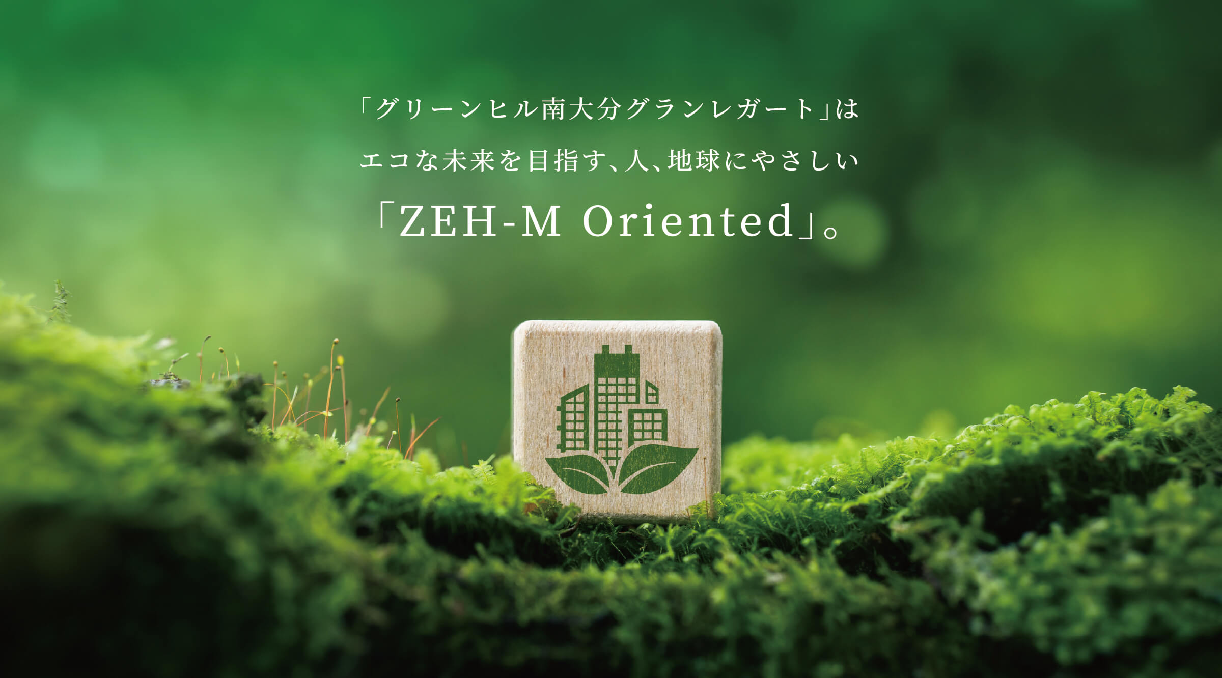 ZEH-M!